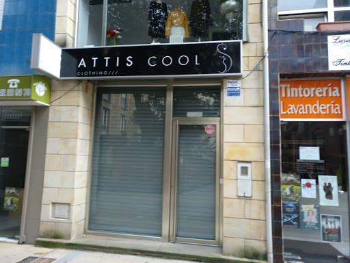 Attis Cool - Visual