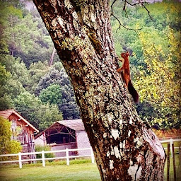 Photo n°76 de Domaine De Campagnac à Carsac-Aillac (Spa)