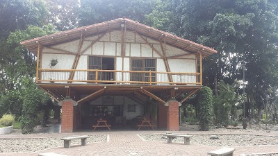 Photos of Quindio Botanical Garden - Butterfly