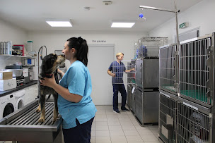 Photo n°22 de Clinique la Croix Bleue à Bagnols-sur-Cèze (Clinique vétérinaire)