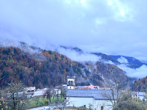 Su Gleisie
