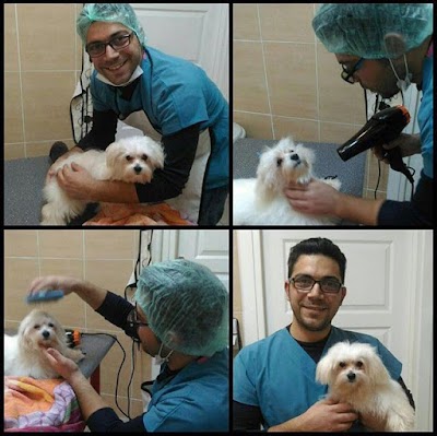 Photos of Veterinary Clinics Vets & Pets-Şebnem Beşevlek