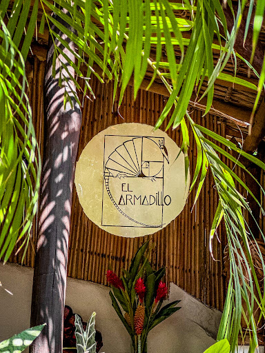 El Armadillo Mazunte - Thumbnail