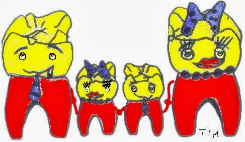 Maatschap Krimpenfort - Thumbnail