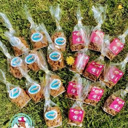 Photo n°19 de Boule de poils à Treffendel (Toiletteur)