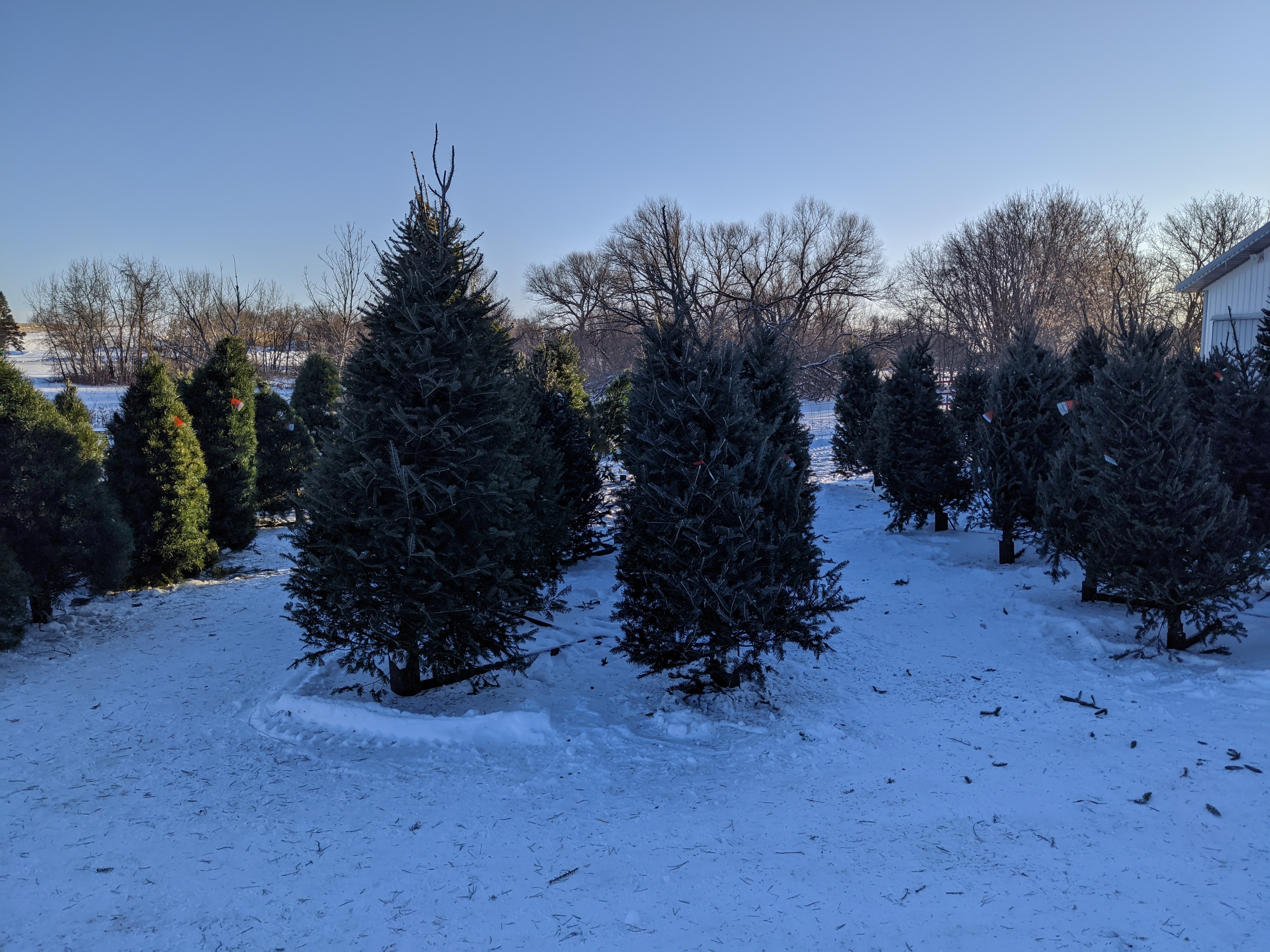 Frieler Farms