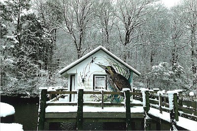 Pickering Creek Audubon Center