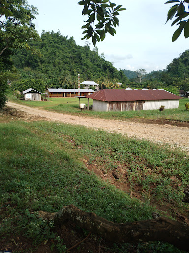 Escuela Oficial Rural Mixta Sinlac Flor Santo Domingo