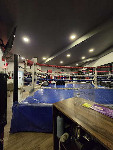 Round 6:12 Box Club - Thumbnail
