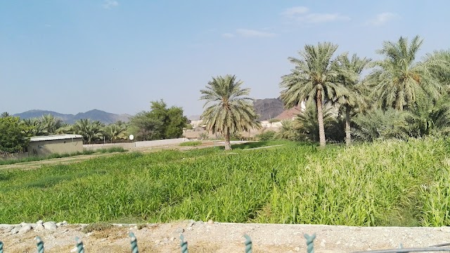 Hatta Heritage Village