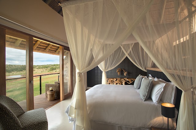 Mhondoro Safari Lodge & Villa