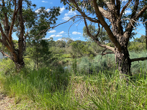 Heynes Reserve - Thumbnail