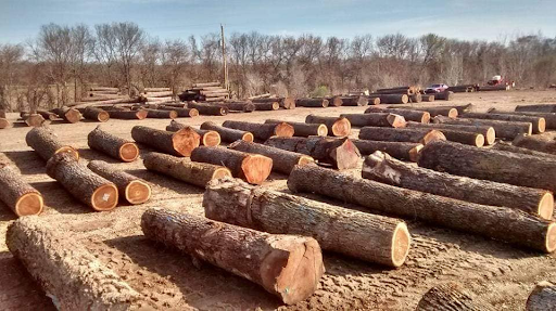 Pure Iowa Logging