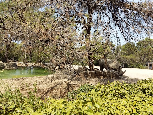 Parc zoologique de Montpellier