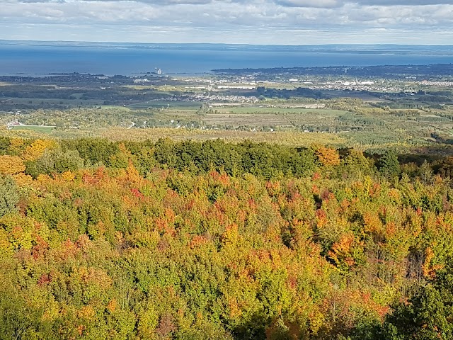 Scenic Caves Nature Adventures