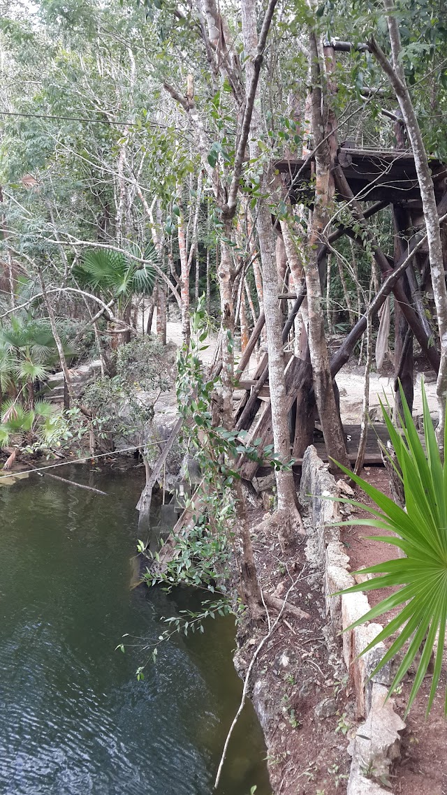 Cenote Las Mojarras