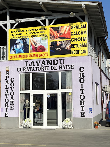 Curatatoria Lavandu HAINE-COVOARE-CROITORIE - Croitor