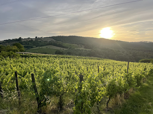 Photo de Planète Bordeaux à Beychac-et-Caillau (33750)