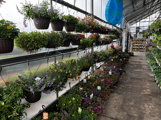 Cornerstone Ace Hardware - Thumbnail