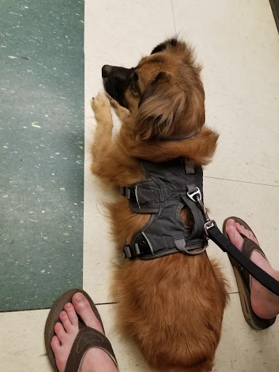 Photos of Town & Country Veterinary Services