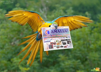 Photos of CS Amalia Grosir Elektronik & Furniture