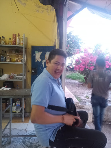 Golondrinas 2 EL NIDO - Thumbnail