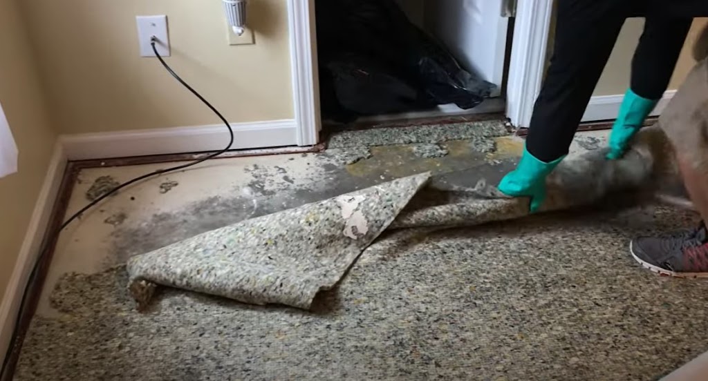 Certified Mold & Water Damage Restoration LLC photo