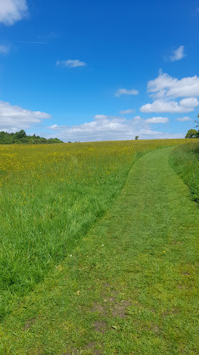 Shipley Country Park Gallery - United Kingdom