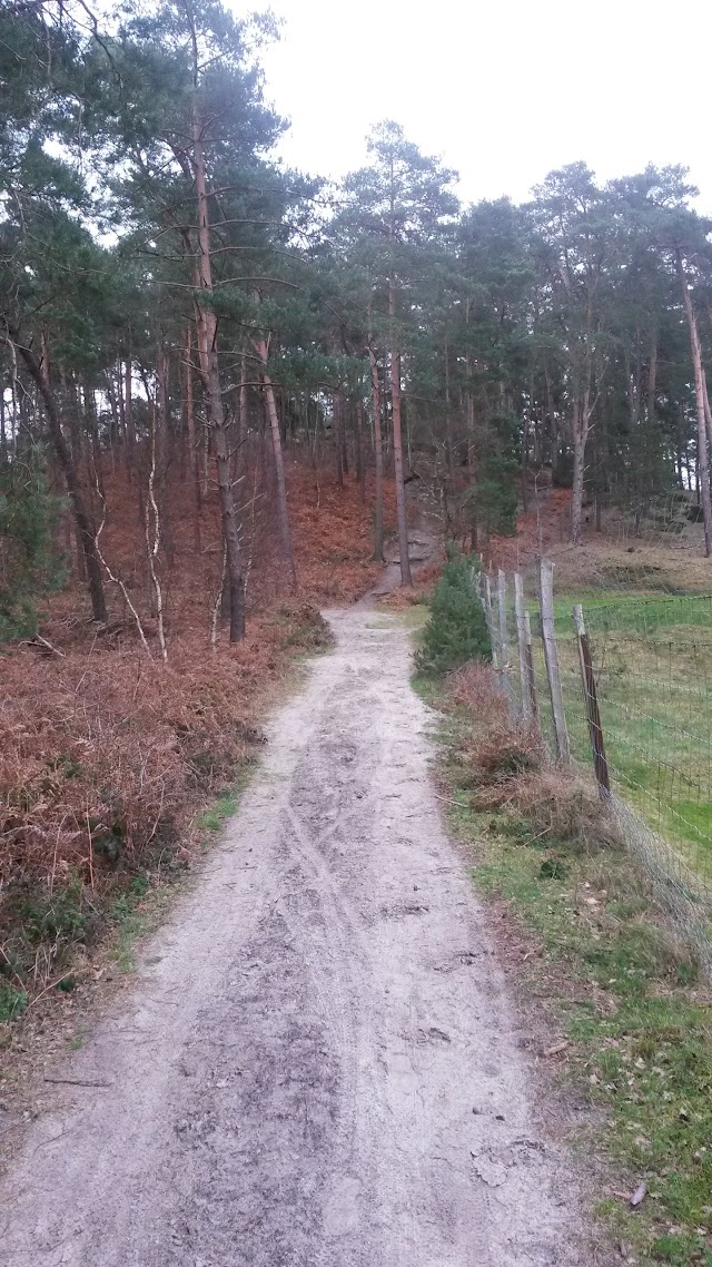 Golf de Morfontaine