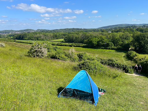 Denbies Hillside - Visual