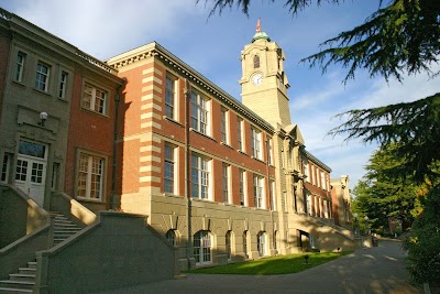 university
