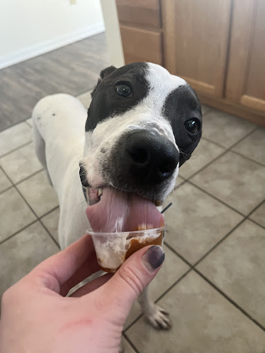Willow Roes Box of Treats