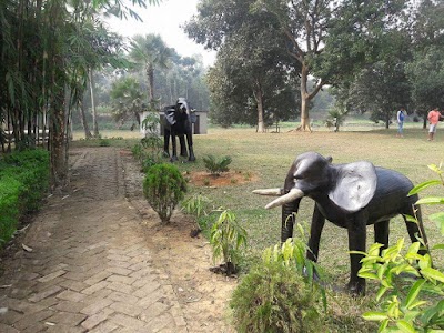 Photos of Eagle Resort