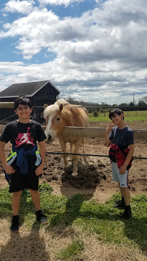 Bull Run Stables - Thumbnail