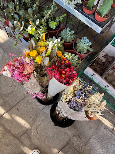 Opinii despre TERRASCAPES | ΖΑΧΟΣ ΤΣΕΛΕΠΗΣ în Κασσάνδρα - Αρχιτέκτονας