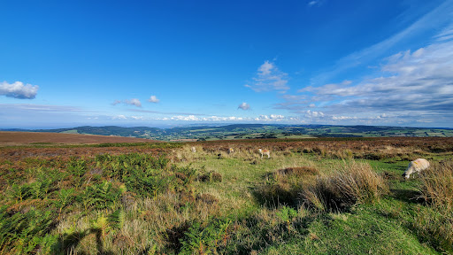 Dunkery Beacon