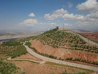 Photos of بقعه امامزادگان عون ابن علی و زین ابن علی علیه اسلام