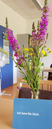 Tagesklinik Zerbst des Alexianer St. Joseph-Krankenhauses Dessau - Thumbnail