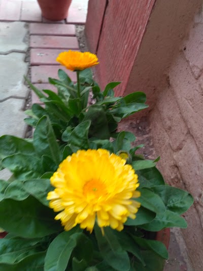 Photos of Supa Durali Temple Bhairahawa