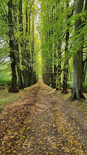 Ewilpa - Der Essbare Wildpflanzen Park - Germany