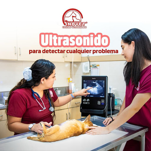 Inovet Centro Veterinario Suc. “La 56”