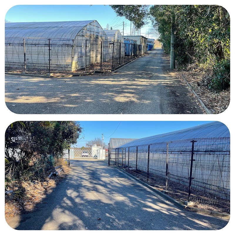 めだか夢や メダカ販売