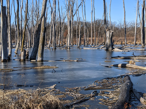 Deer Grove East - Thumbnail