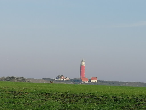 kaas boerderij, vakantiewoningen en minicamping de duinen Texel - Thumbnail