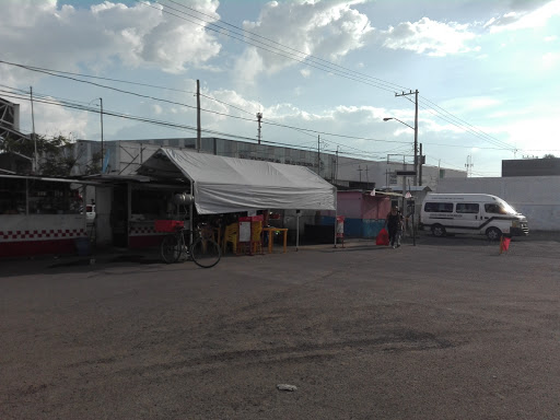 Central de Combis Aguascalientes - Visual