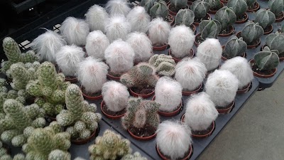 Photos of Agro Technology Park