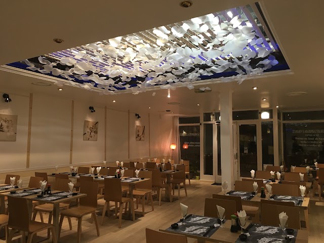 Mizu Restaurant Japonnais