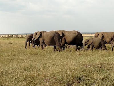 Photos of Mara Siria