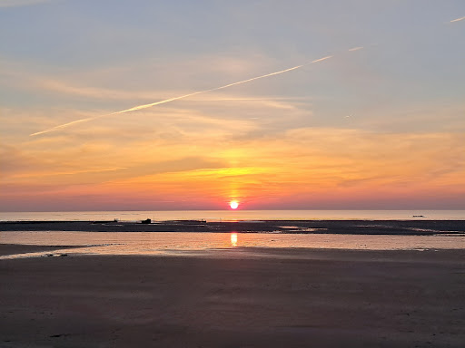 Hauteville-sur-mer Gallery - France