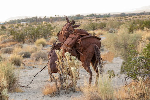 Galleta Meadows - Prospector and his horse